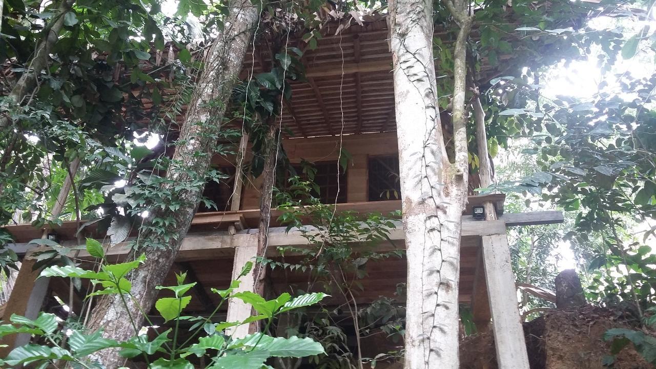 Bedda Eco Cottages Deniyaya Exterior foto